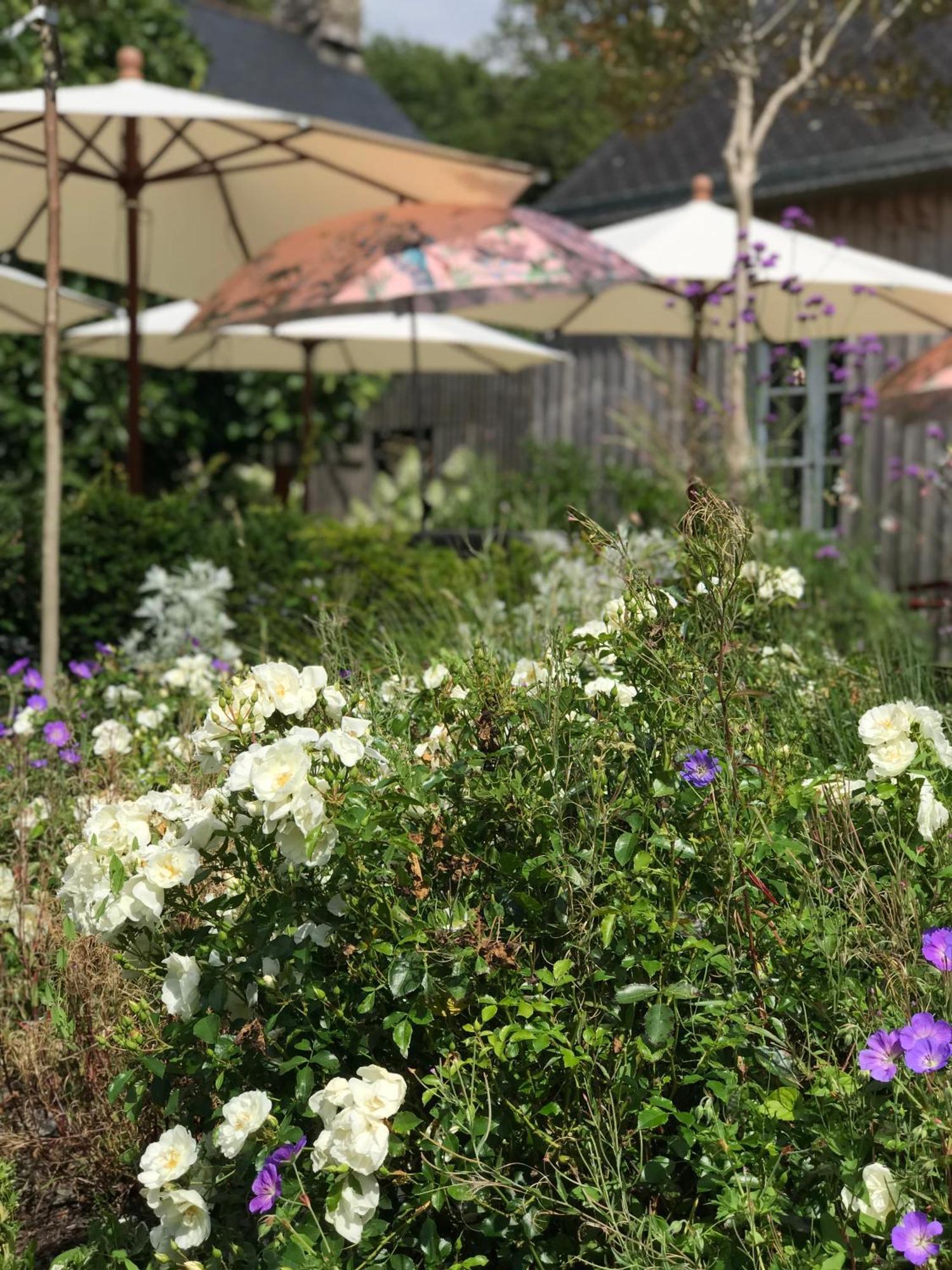 Manoir Saint-Andre,B&B De Charme Theix Екстериор снимка