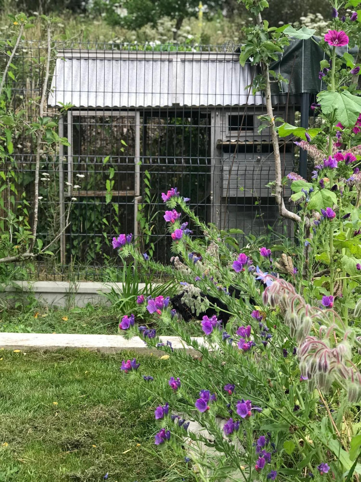 Manoir Saint-Andre,B&B De Charme Theix Екстериор снимка